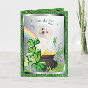 Adorable Maltese Puppy - St. Patrick’s Day Message Card