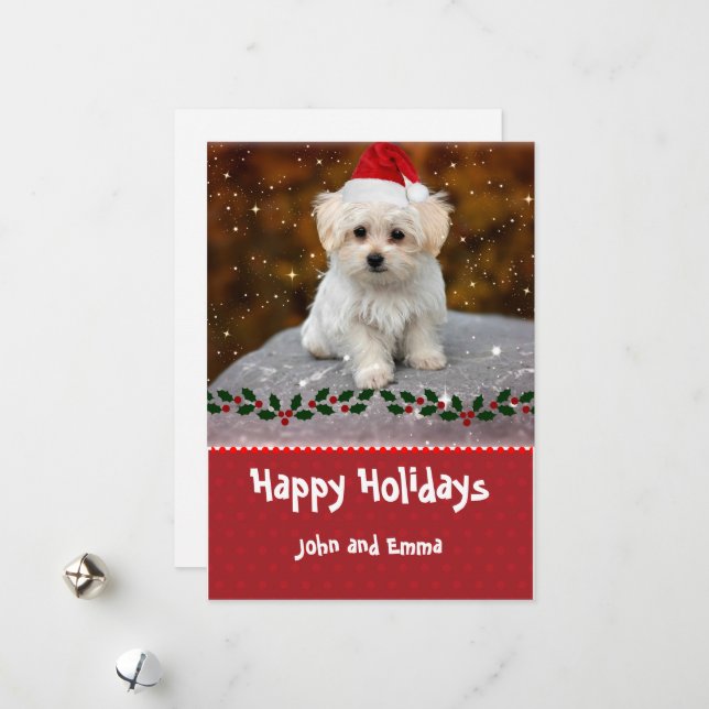 Adorable Maltese Puppy Template Holiday Card (Front/Back In Situ)