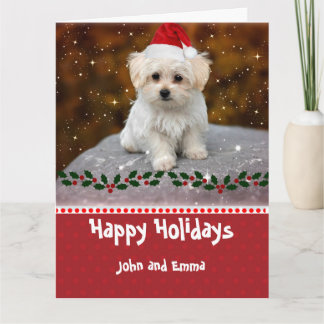 Adorable Maltese Puppy Template Holiday Card