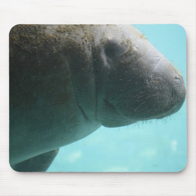 Adorable Manatee Swimming Mouse Pad (Front)