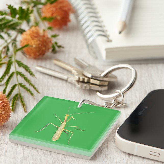 Adorable Mantis  Keychain (Front Right)