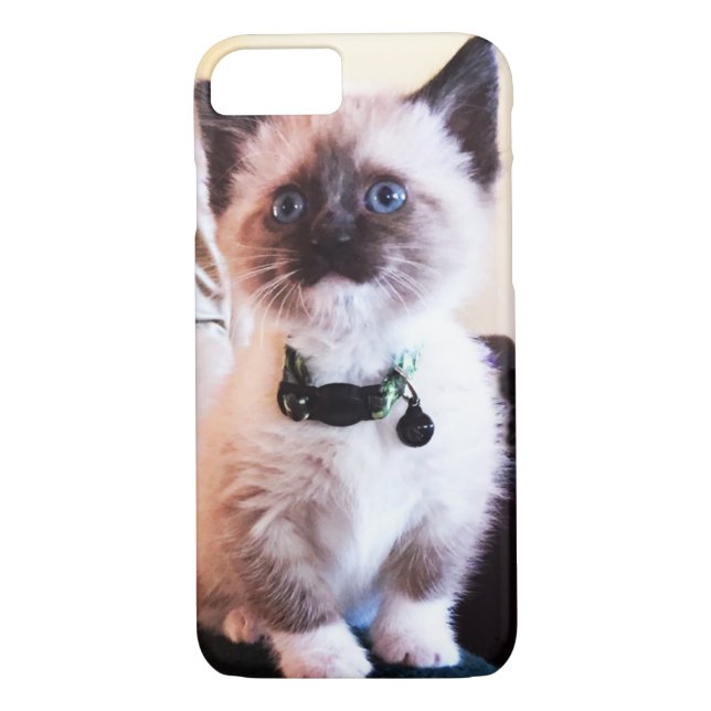 Adorable Masked Blue Eyed Siamese Kitten Photo Case-Mate iPhone Case (Back)