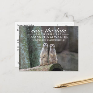 Adorable Meerkats Save The Date Announcement Postcard