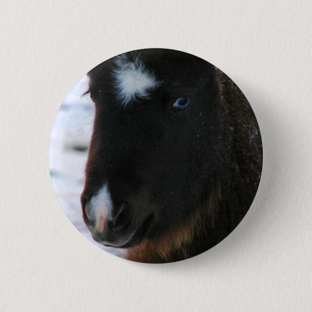 Adorable Mini Horse Filly 2 Inch Round Button (Front)