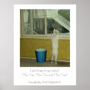 Adorable Miss You Poster !