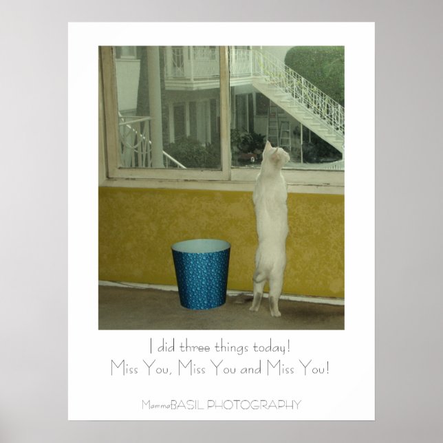 Adorable Miss You Poster! Poster (Front)