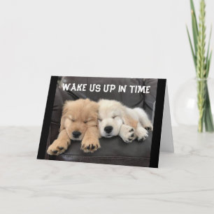 ADORABLE NAPPING PUPS WISH "YOU HAPPY BIRTHDAY" CA CARD
