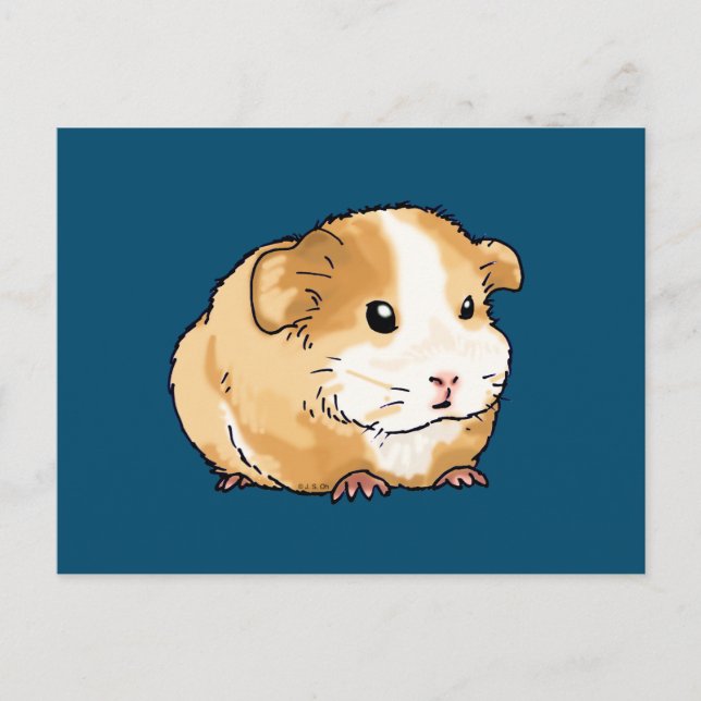 adorable new guinea pig postcard (Front)