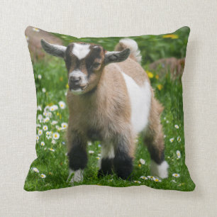 Adorable Nigerian Dwarf Goat Kid Throw Pillow