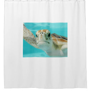Adorable Ocean Sea Turtle