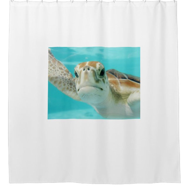Adorable Ocean Sea Turtle (Front)