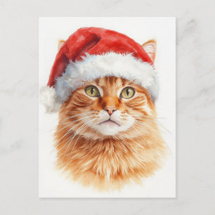 Adorable Orange Tabby Cat in Santa Hat Holiday Postcard