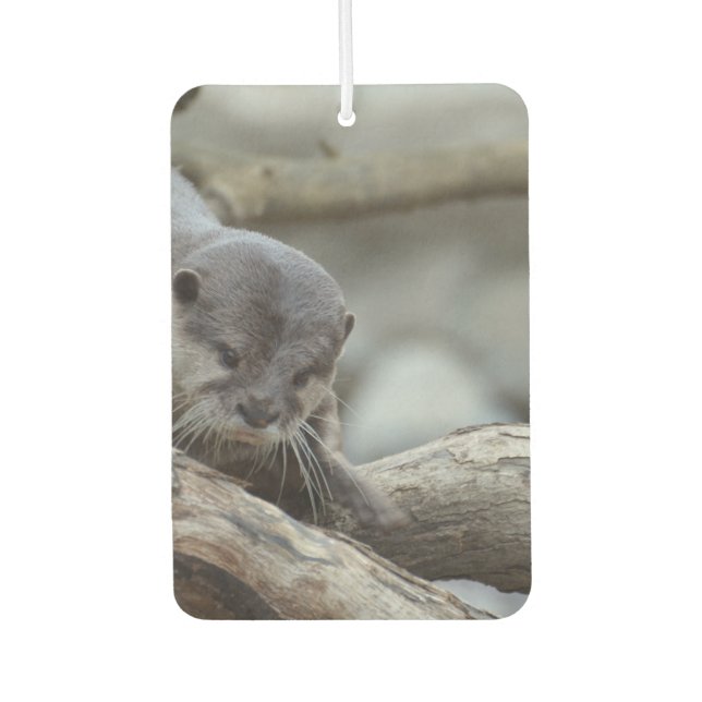 Adorable Otter Car Air Freshener (Front)