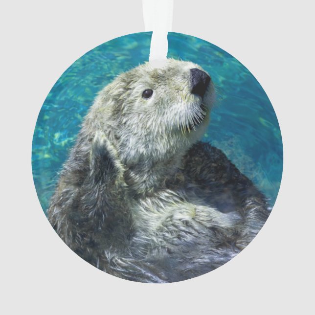 Adorable Otter de mer Mignonne Eau Bleue (dos)