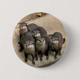 Adorable Otter Family 2 Inch Round Button
