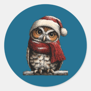 Adorable Owl With Santa Hat Snowy Winter Christmas Classic Round Sticker