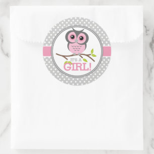 Adorable Owls Its a Girl Classic Round Sticker