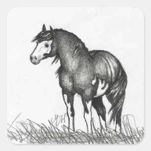 Adorable Paint Horse Stickers
