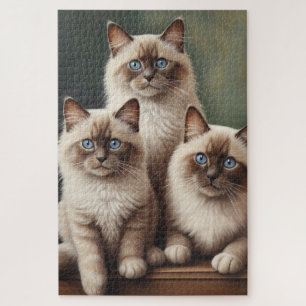 Adorable Pair of Ragdoll Kittens Sweet Cat Jigsaw Puzzle