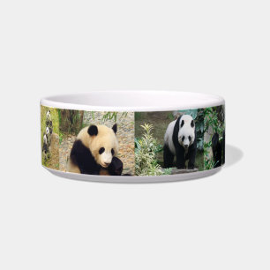 ADORABLE PANDAS BOWL