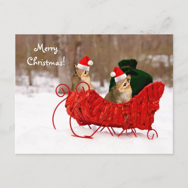 Adorable Père Noël Chipmunks bébé en Sleigh Carte  (Devant)