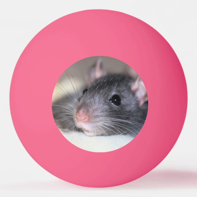 Adorable Ping Pong Ball (Front)