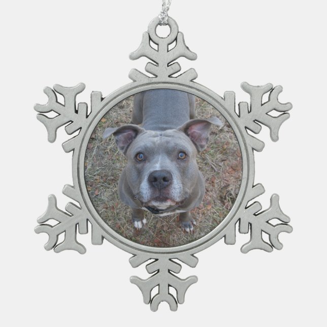 Adorable Pitbull Christmas Ornament (Front)
