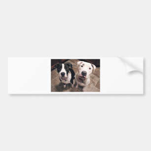 adorable pitbull puppies dogs bumper sticker