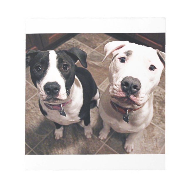 adorable pitbull puppies dogs notepad (Front)