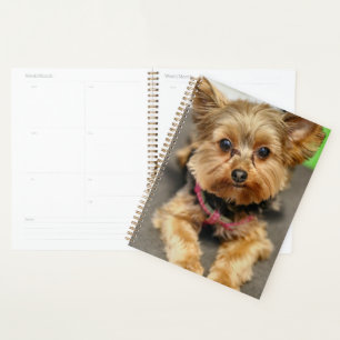 Adorable Planner