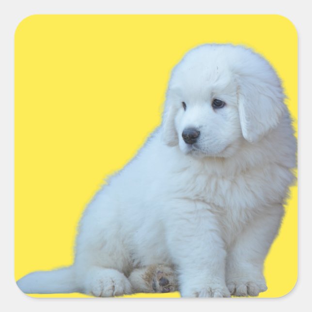 Adorable Polonais Tatra Sheepdog Puppy Sticker (Devant)