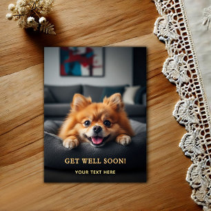 Adorable Pomeranian Get Well Postcard