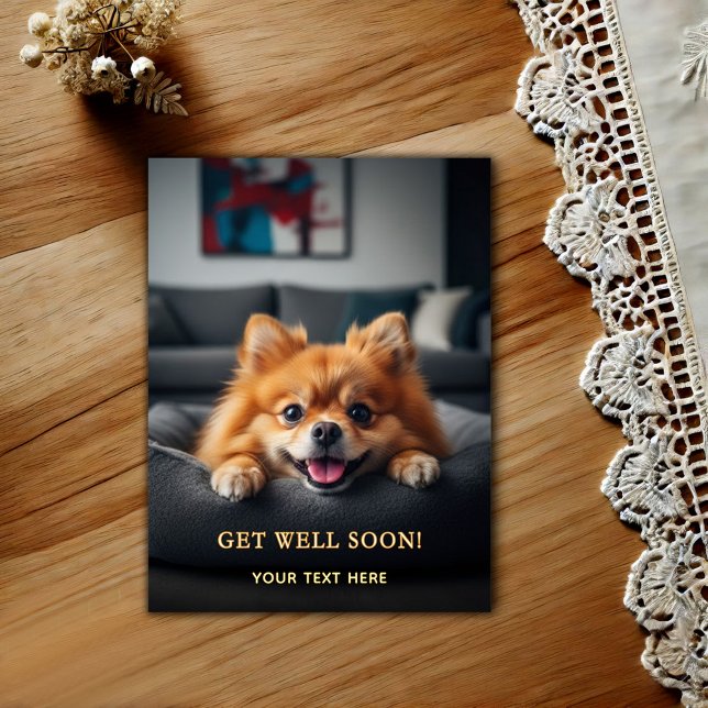 Adorable Pomeranian Get Well  Postcard (Creator Uploaded)