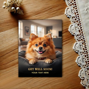 Adorable Pomeranian Get Well Postcard