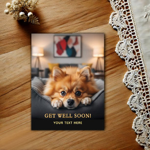 Adorable Pomeranian Get Well Postcard
