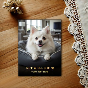 Adorable Pomeranian Get Well  Postcard