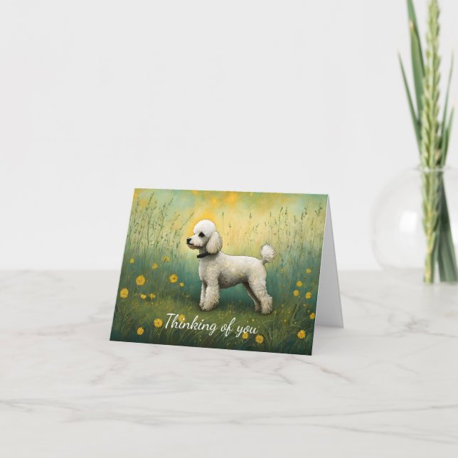 Adorable Poodle In Meadow Thinking Of You Card (Front)