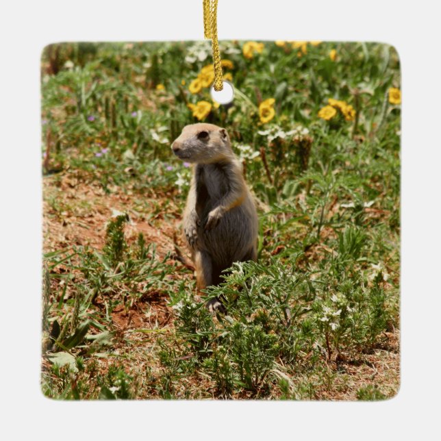 Adorable Prairie Dog Ceramic Ornament (Front)