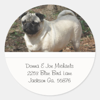 Adorable Pug Address Labels