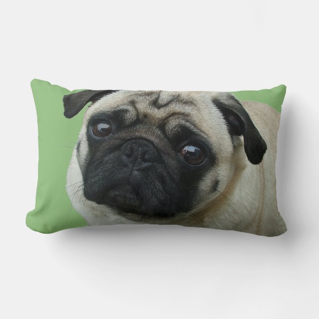 Adorable Pug American MoJo Lumbar Pillows (Front)