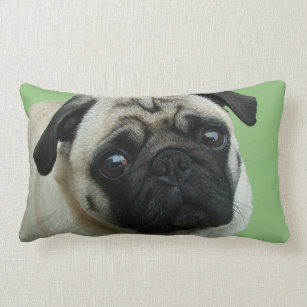 Adorable Pug American MoJo Lumbar Pillows