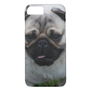 Adorable Pug iPhone 8/7 Case