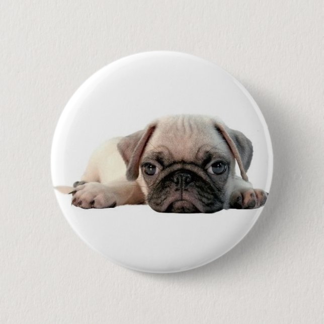 adorable pug puppy 2 inch round button (Front)