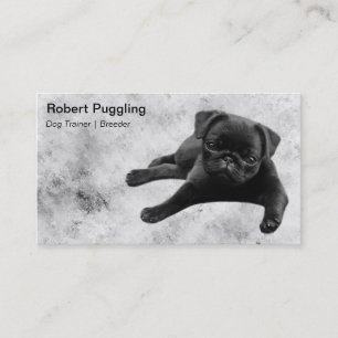 Adorable Pug Puppy Business Card