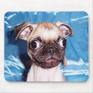 Adorable Pug Puppy Mousepad