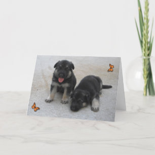 Adorable Puppies Card