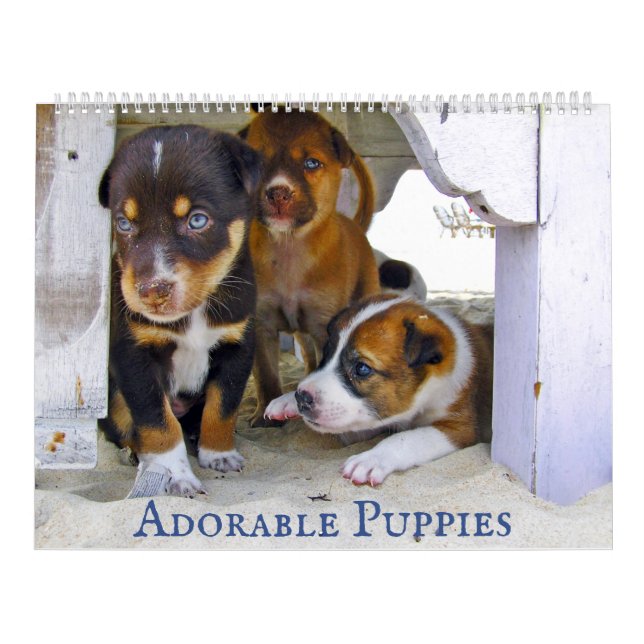 Adorable Puppies Personalized 2022 Calendar (Cover)