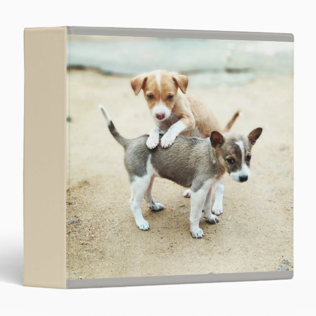 Adorable Puppies Playing on Beach Binder (Front/Spine)