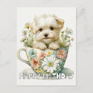 Adorable Puppy In A Tea Cup Postcard