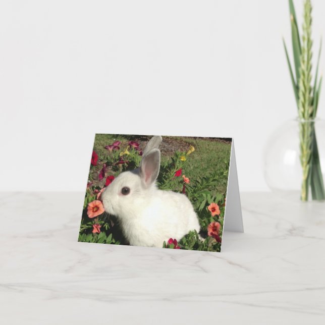 Adorable Rabbit Note Card (Front)